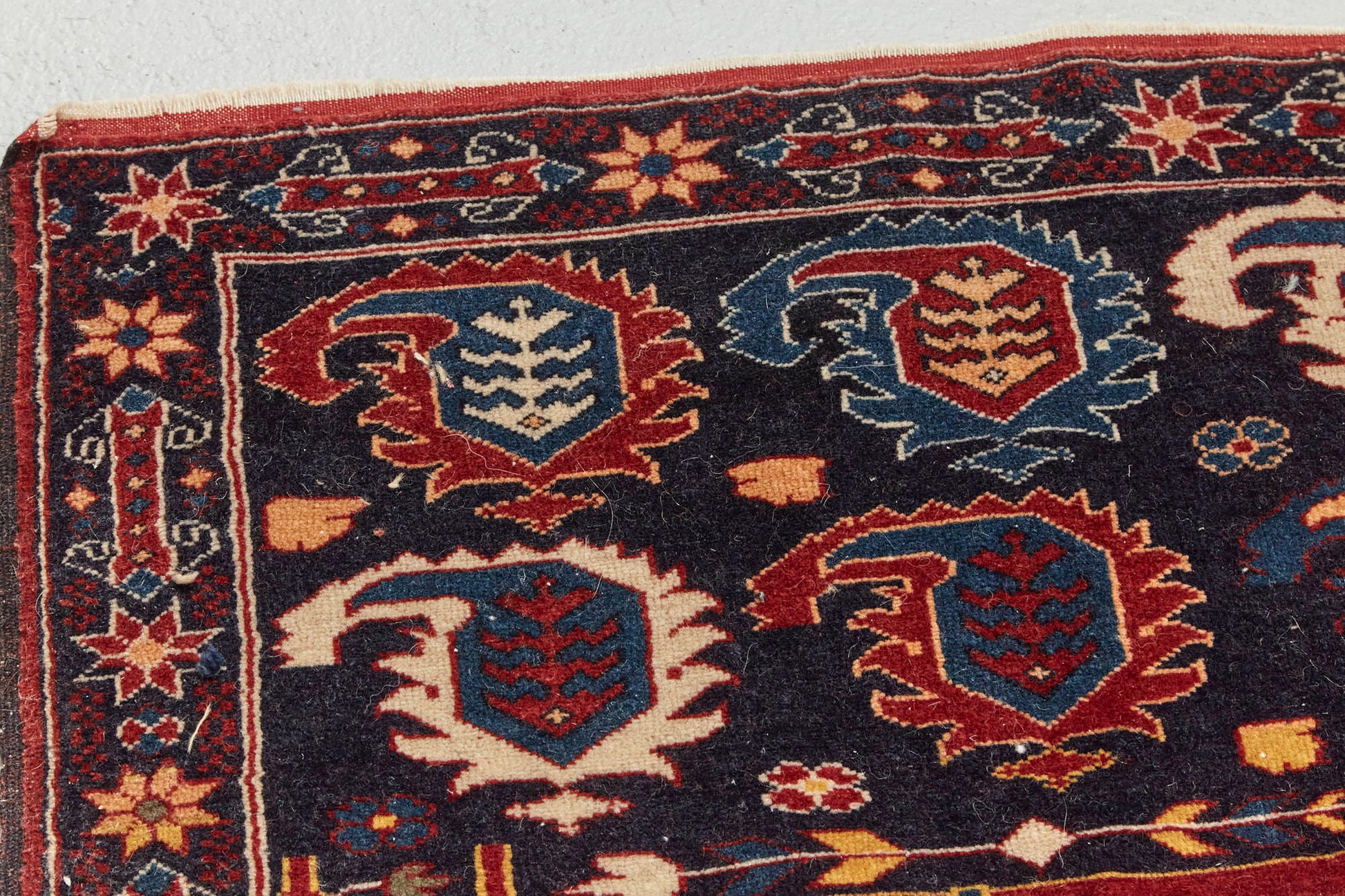 Corner detail of antique Bidjar Persian Rug Sampler, hand woven with dark blue base and red, cream, gold and lighter blue shapes, beautiful piece in excellent condition for a study, bedroom or foyer rug - Available from King Kennedy Rugs Los Angeles