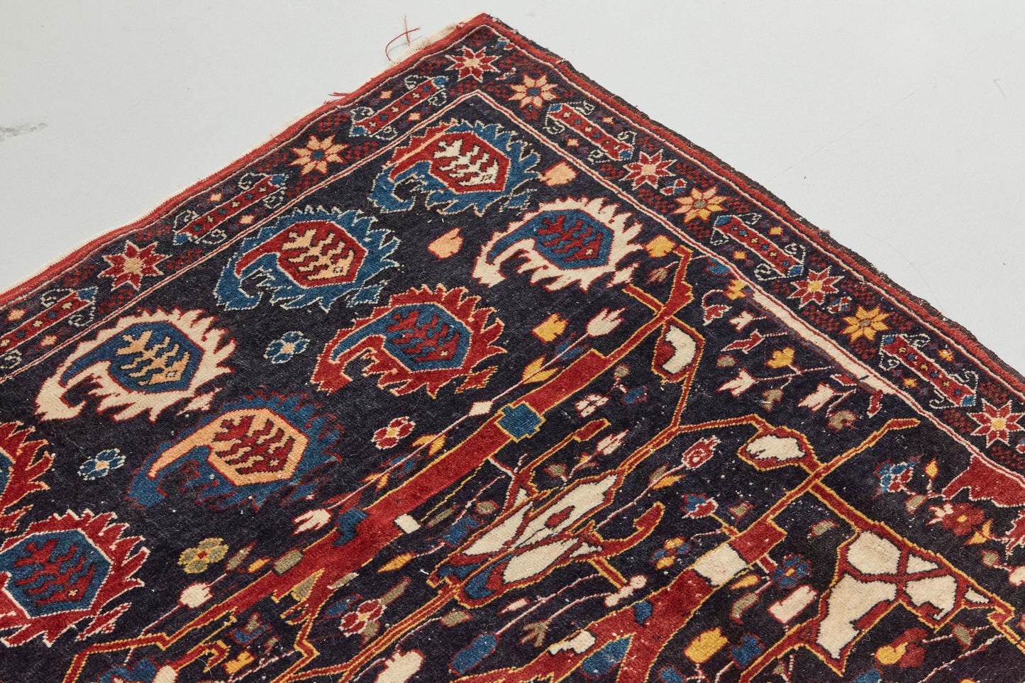 Corner detail of Antique Bidjar Persian Rug Sampler, hand woven with dark blue base and red, cream, gold and lighter blue shapes, beautiful piece in excellent condition for a study, bedroom or foyer rug - Available from King Kennedy Rugs Los Angeles